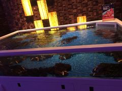 -奥斯汀KTV(金湖店)