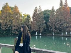 -八大山人梅湖景区