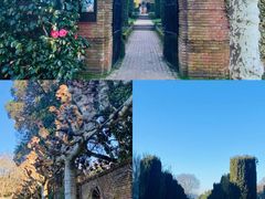 -洪湖湿地生态园