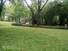 -晓港公园