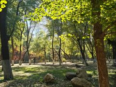 -长白岛森林公园