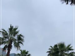 -金沙湖公园