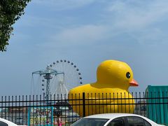 -秦皇岛乐岛海洋王国