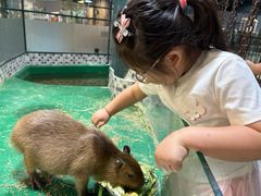 -上海大自然野生昆虫馆(东方明珠·爬宠昆虫探索中心)