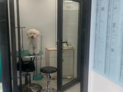 -博特宠物医院24h犬猫全科.骨科·异宠