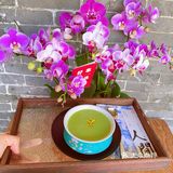 🌷与绿色双皮奶相逢🌷