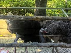 -燕塞湖鸟语林景区
