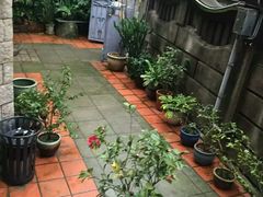 -杨桃院子旅馆(厦门鼓浪屿中华红墨店)