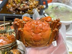 -杨氏青龙虾·羊蝎子(托乐嘉店)