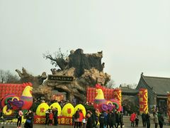 -大槐树寻根祭祖园