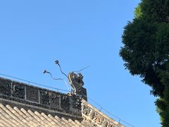 -洛阳白马寺
