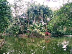 -海南热带野生动植物园