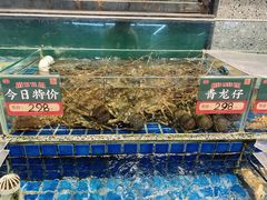 水产区-飞尝蚝·顺德菜·鱼生(顺德总店)