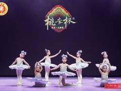 -星光舞蹈艺术中心