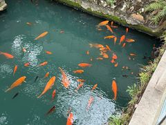 -墨池公园
