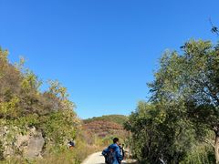 -鬼笑石后山停车场