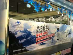 -丽江三义国际机场