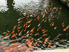 -威海华夏城景区