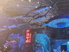-烟台海昌鲸鲨海洋公园