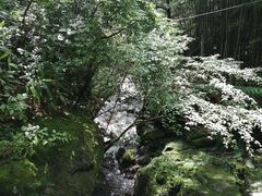 -藏龙百瀑风景区