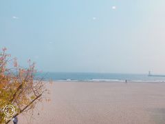 -海天一色海景自助餐厅(西港花园店)