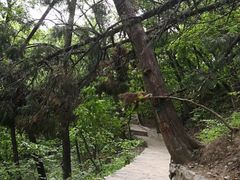 -北京上方山国家森林公园
