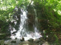 -天女山森林公园