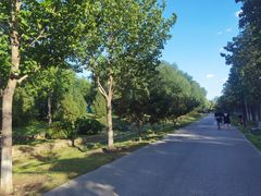 -永定河休闲森林公园