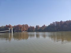 -东湖落雁景区