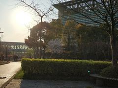 -上海中医药大学附属曙光医院(东部)