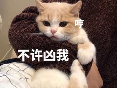 -栈桥王子饭店-风味餐厅