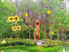 -森波拉奇妙世界