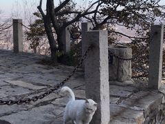 -北京凤凰岭