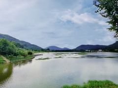 -风云岭森林公园