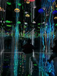 -疯狂冒险家-亲子密室-东坝店(金隅嘉品店)