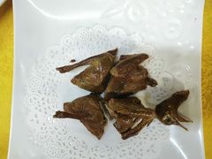 -鸽王世家(东华东路店)