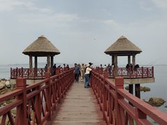 -养马岛旅游度假区