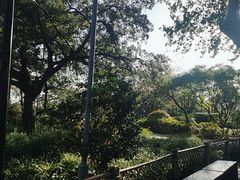 -红梅公园