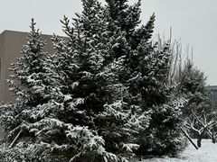 -中关村生命科学园