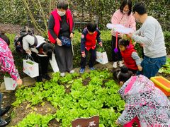 -向日葵艺术中心美术(虹桥南丰城校区)
