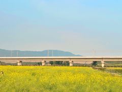 -光明小镇欢乐田园