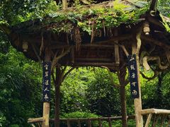 -青城山