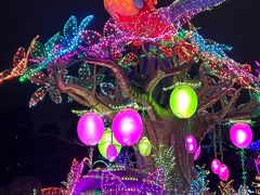 -珠海长隆海洋王国