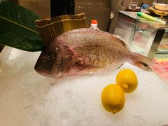 -嘉定凯悦·咖啡厅