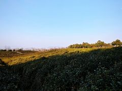 -南京市江宁方山