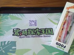 -美的鹭湖探索王国