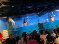 -常州海昌海洋探索馆