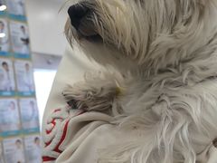 -谐和贝康宠物医院24小时·宠保定点(急重症转诊中心)