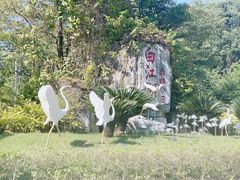 -广州白江湖森林公园