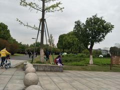 -九里河湿地公园
